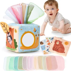 hahaland Baby Tissue Box Toy - 6 Month Old Montessori Baby Toys 6-12 Months